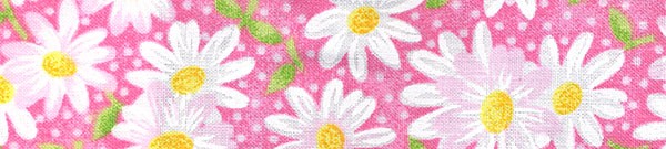 Daisies on Pink