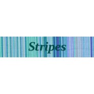 Stripes Adult D Ring Belt