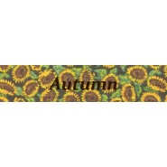 Autumn  Adult Fashion Belt 